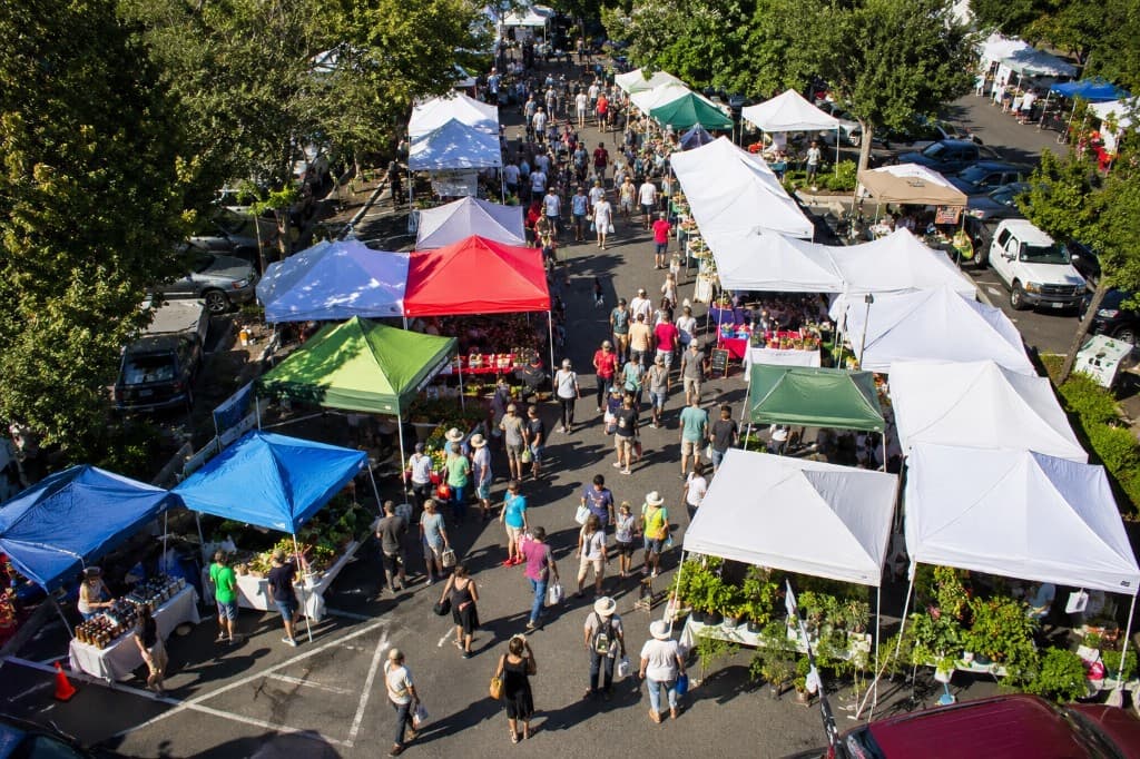 Busy outdoor farmers market with tents and shoppers